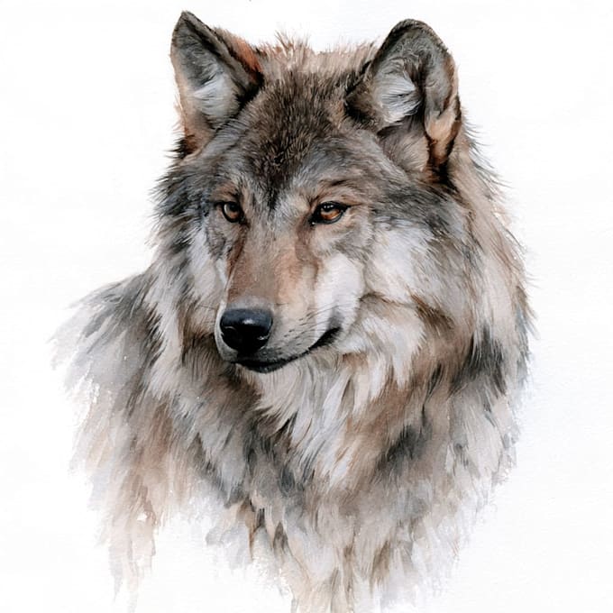 draw detail animal illustration
