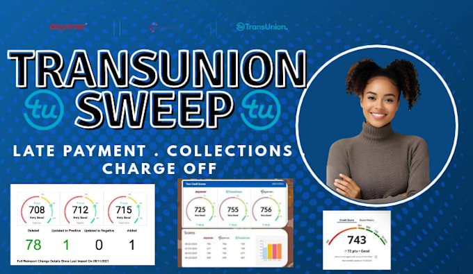 do prefessional DIY credit sweep support transunion sweep in 24 hours