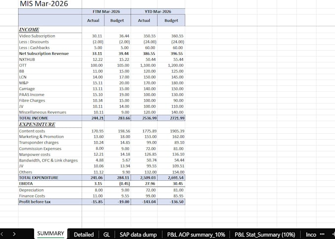 create financial dashboards, mis reports, and budgeting analysis