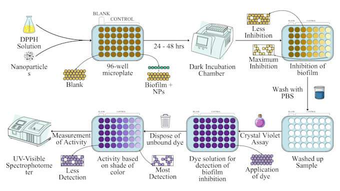 design graphical abstract and scientific illustrations for you