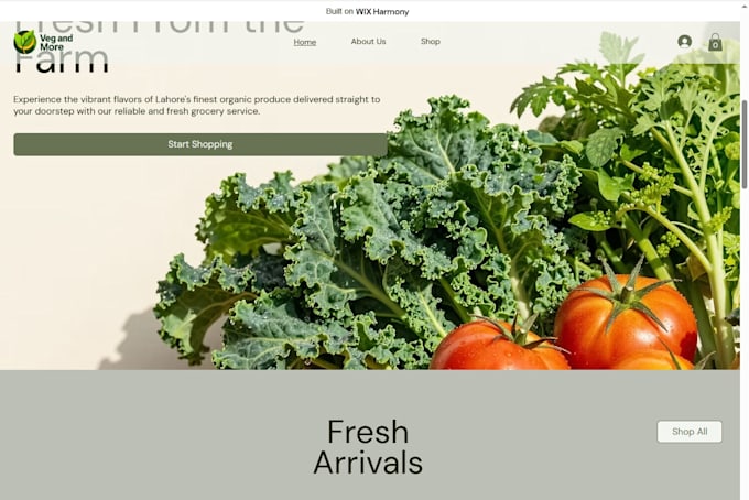 design a professional wix website and wix e commerce