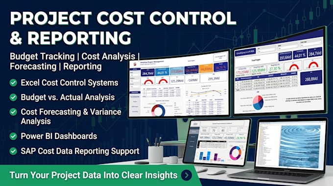provide professional project cost control and budget reporting