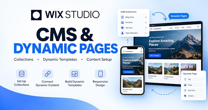 set up wix studio cms and dynamic pages