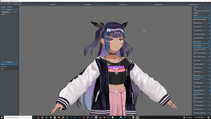 design and rig high quality live 2d vtuber model, 2d vtuber model, vtuber model