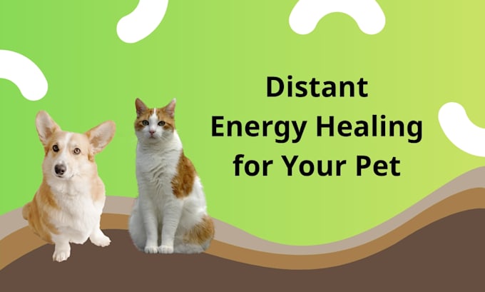 perform distance pranic healing for your pet