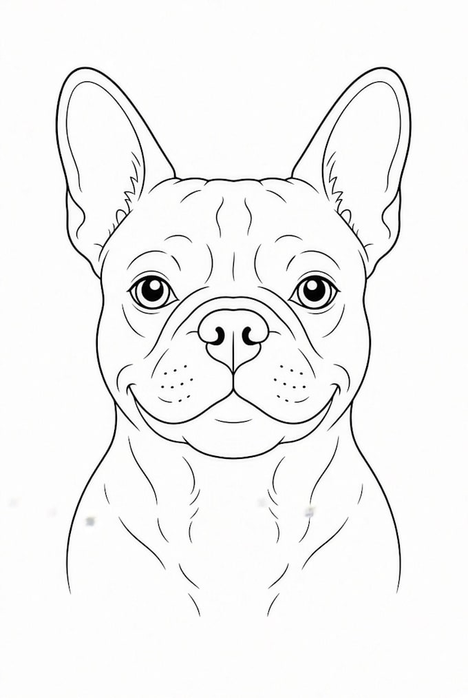 draw vector line art for your pet 24 hours