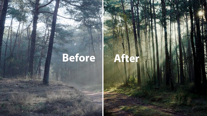 do professional video color grading and color correction