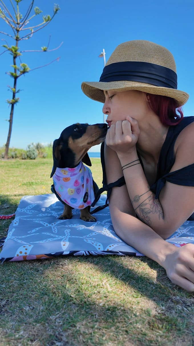 create authentic pet ugc video featuring my mini dachshund