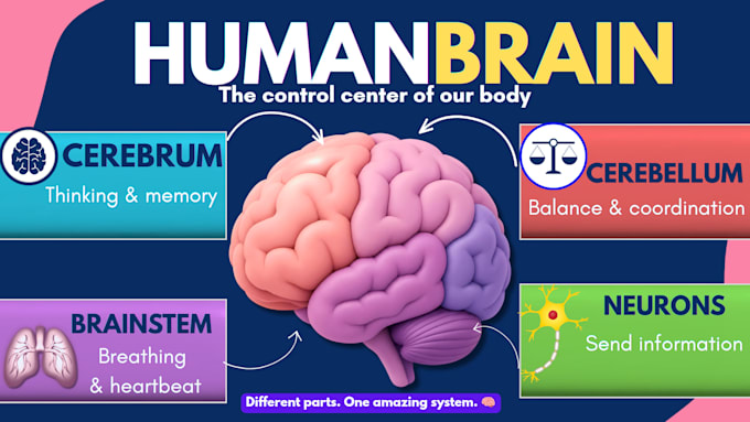 creating a educational slide