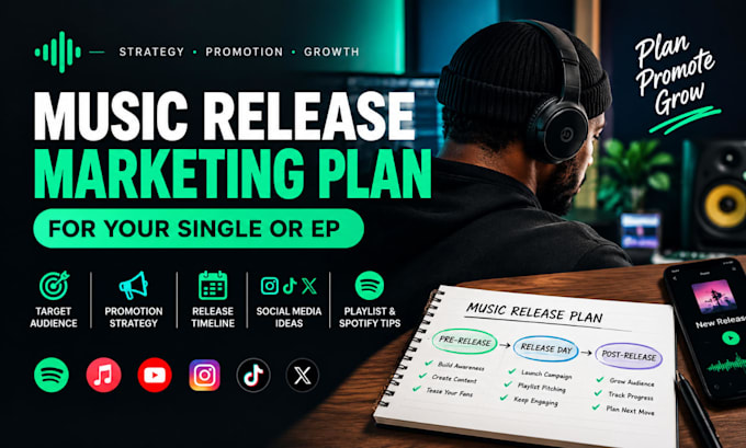 create a professional music marketing strategy for independent artists