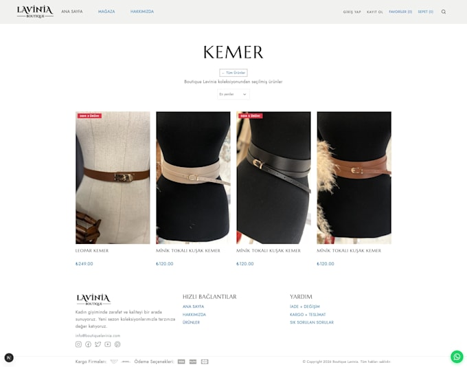 design and develop an e commerce website for your business