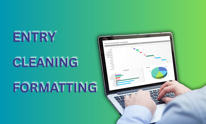 be your data cleaner data entry expert and data collector