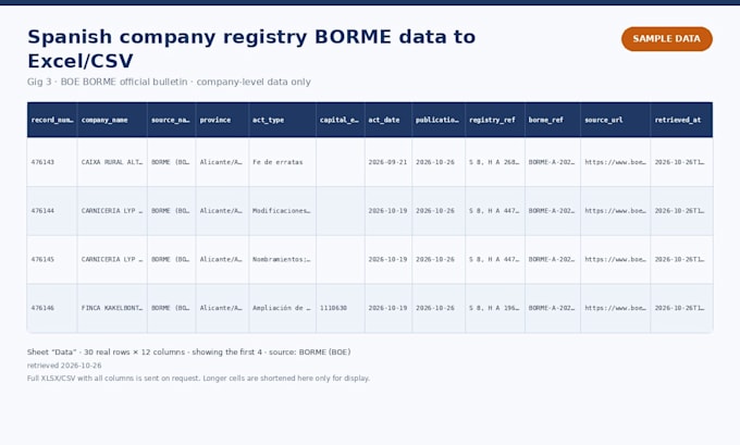 extract spanish company registry borme data to excel