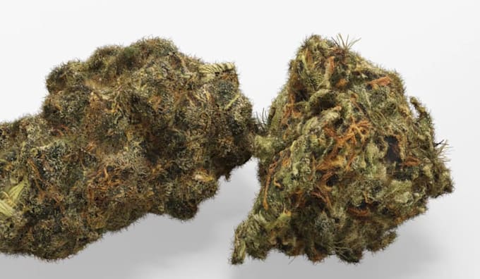write professional cannabis, cbd, and hemp articles and blog posts