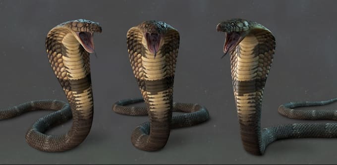 create 3d creatures ready for game, werewolf and wild animal, ue5 3d rigging,fbx