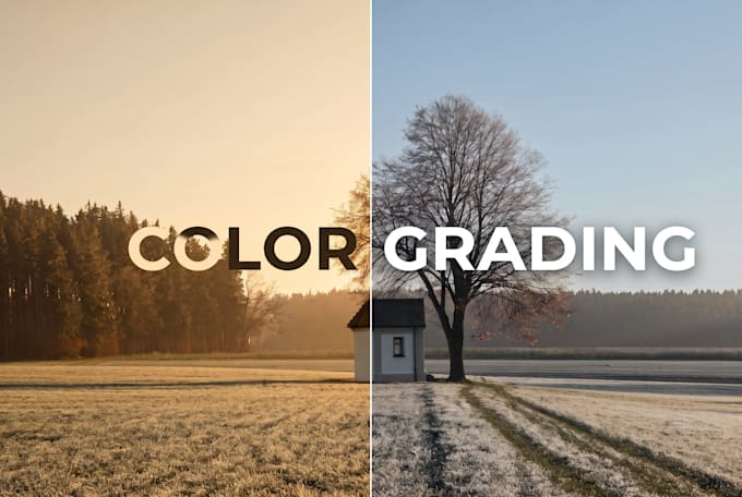 do professional cinematic color grading and color correction