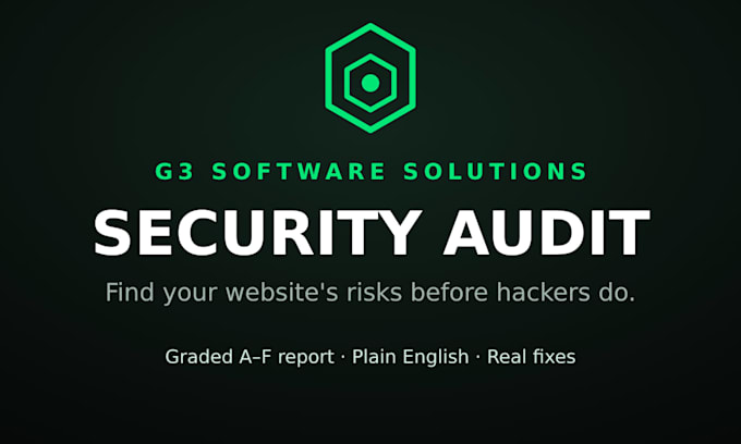 do a full website security audit with report