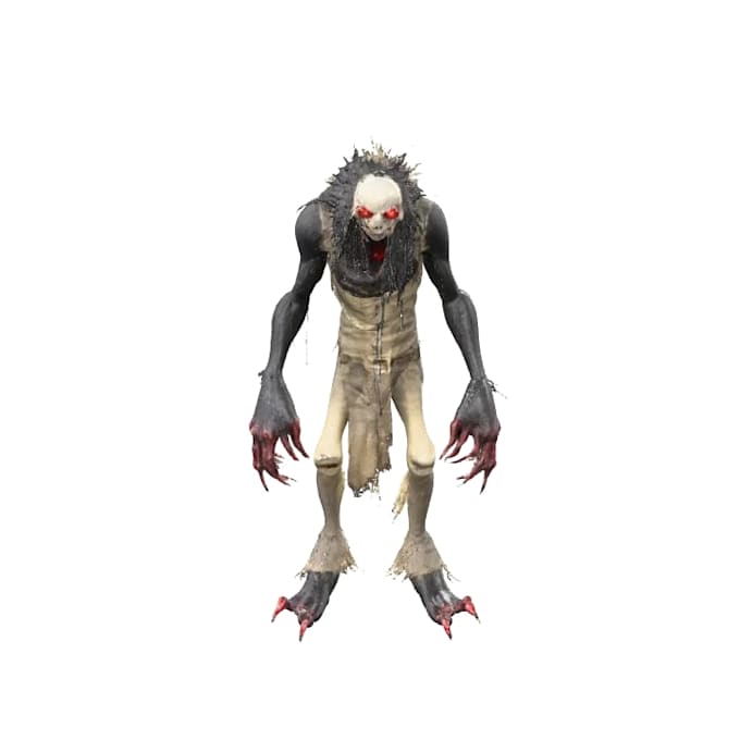 model, rig and animate your character