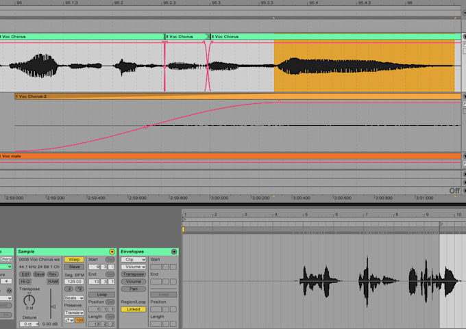 perform professional editing of your audio