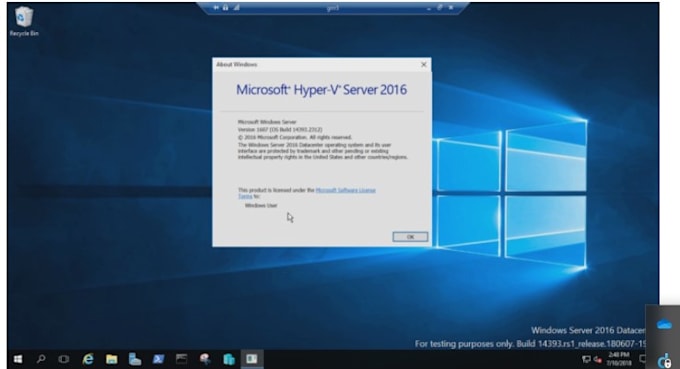 window servers and network support