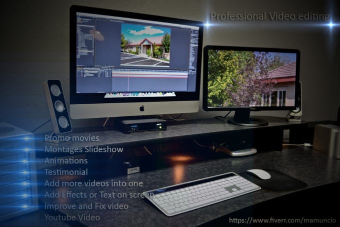 do professional video editing under 24 hour