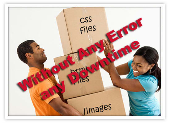 move any website script to new server without any error and downtime
