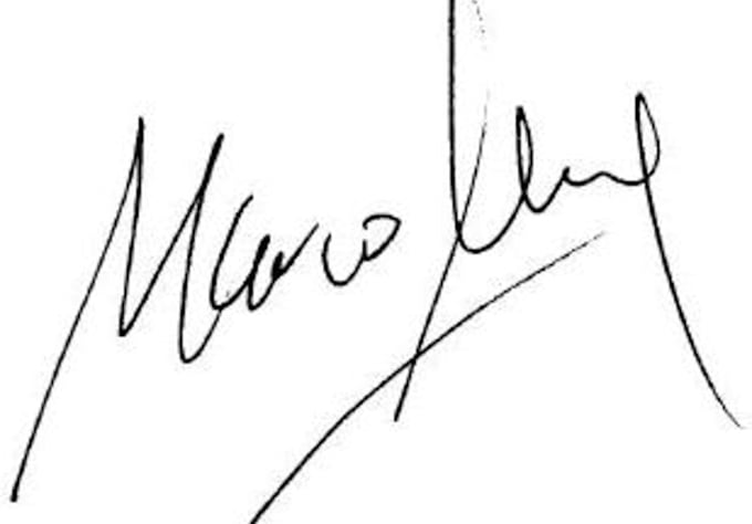 design a custom, professional, and visually appealing hand written signature