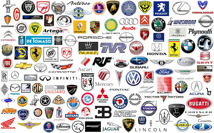 design professional  logo for your Brand