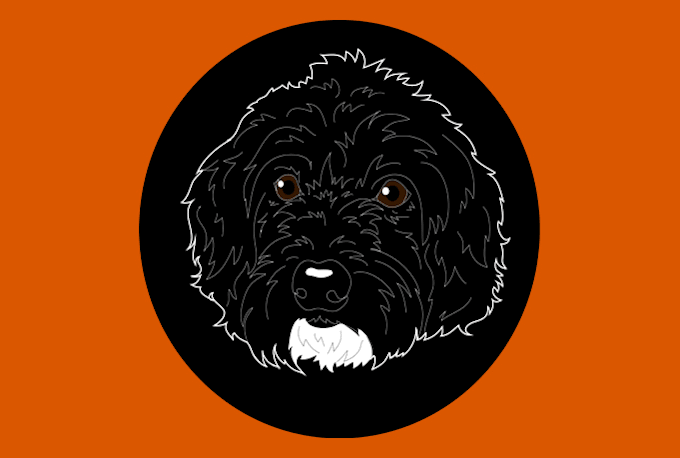 draw your pet in a fun colorful style