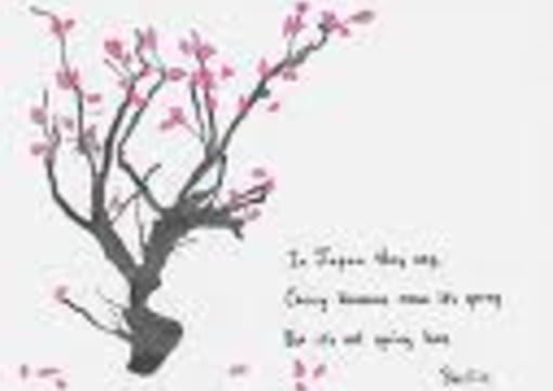 write a Japanese Haiku on any topic