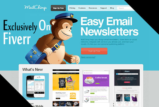 design fully responsive mailchimp template