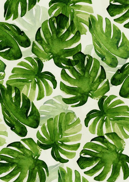 Trendy fabrics clearance