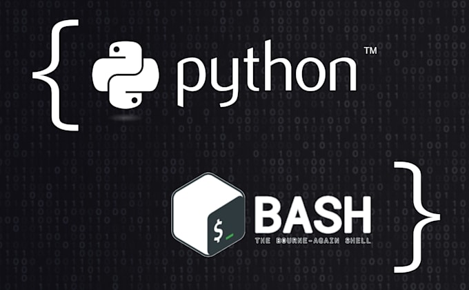 write python or bash scripts to automate tasks