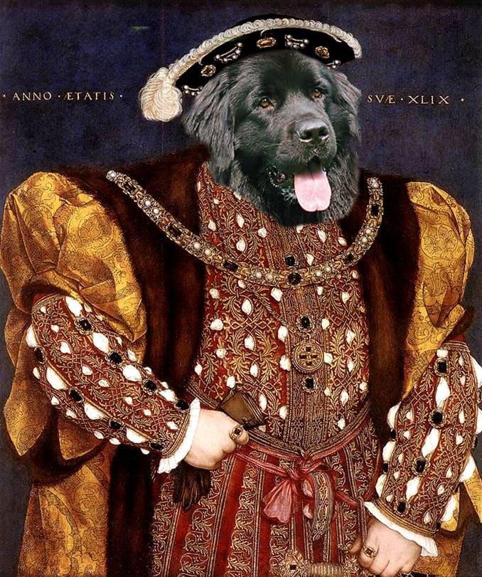 Make A Royal Pet Portrait By Yarrara Fiverr