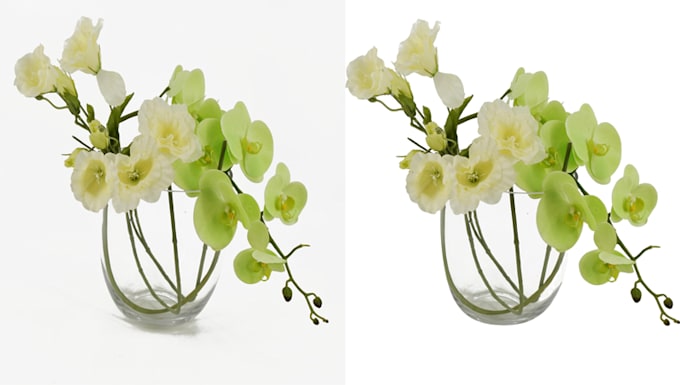 remove the background or clipping path of any photos 24hrs