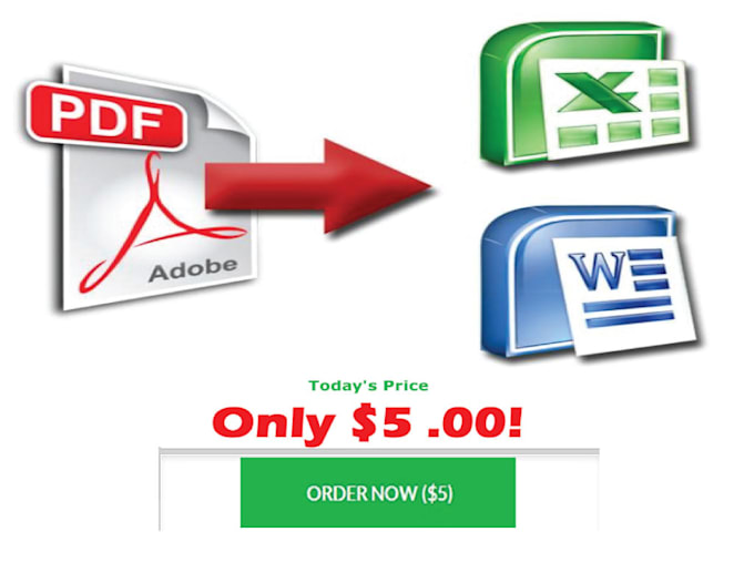 convert PDF into Excel or Word within 20 hours