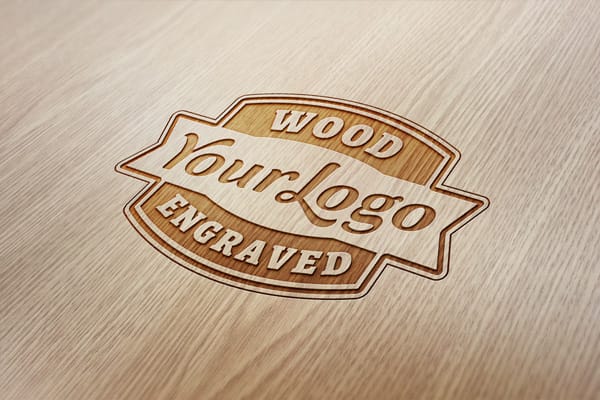 professional Logo Animation Video Intro in HD