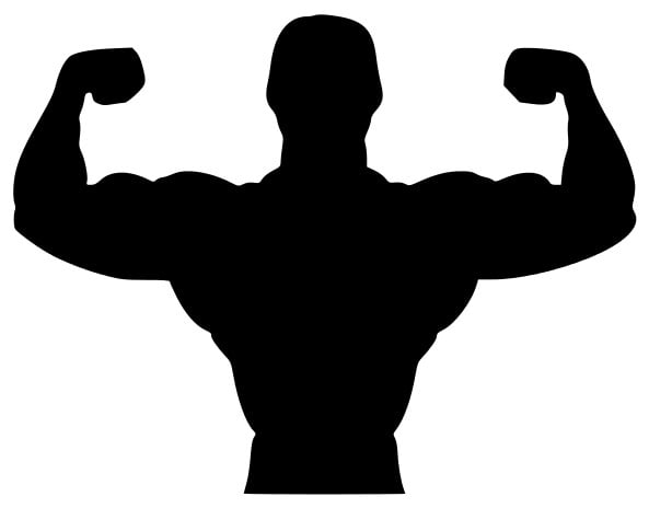create a personalized training program based on your needs