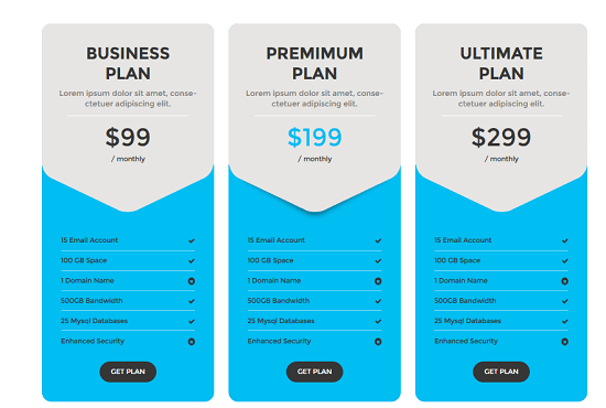 design a professional PRICING Table
