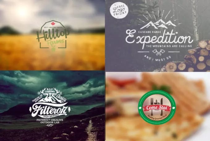 desing eye catching logo within 48 hours