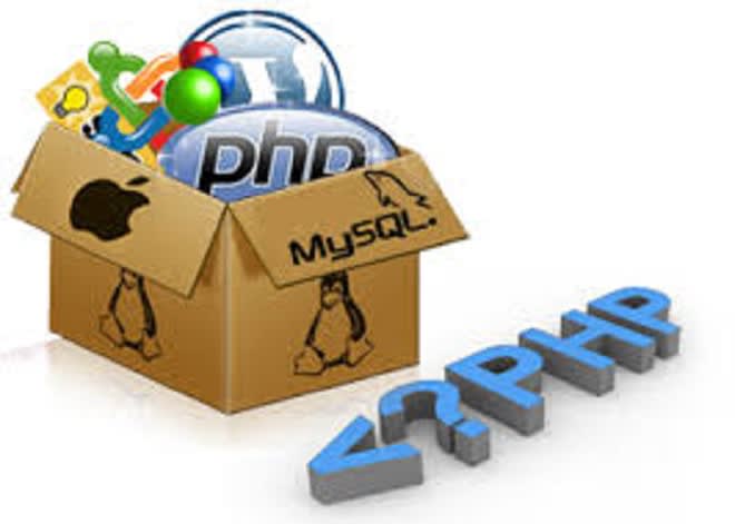 do some programming for you with php