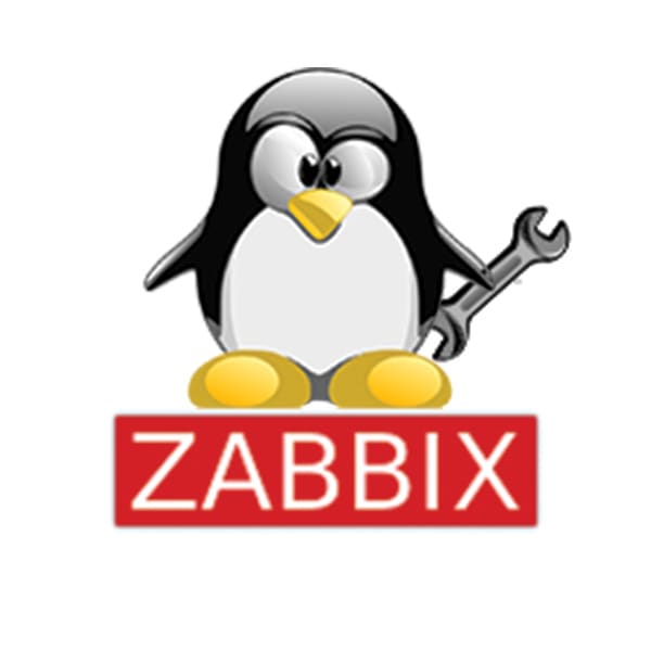 set up and teach zabbix