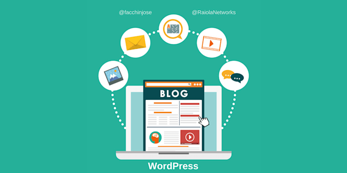 make fully customized word press website for you