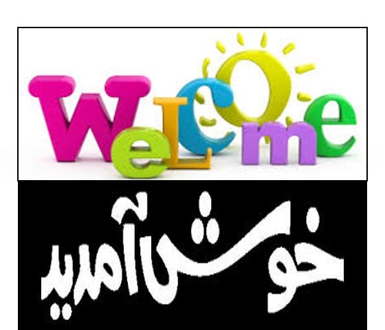 do an excellent translation from english into urdu 500 words