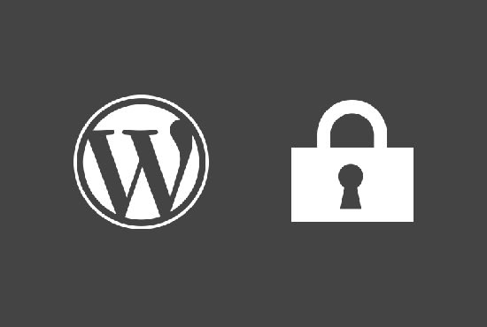 security check your Wordpress website