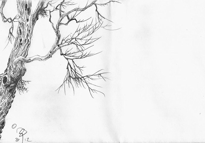 draw a random tree or trees and send them to you