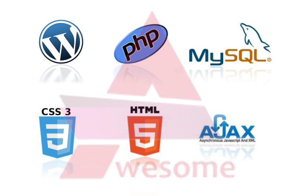 do any PHP or wordpress customization