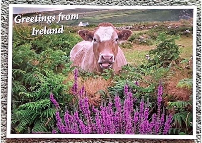 send you a postcard from ireland
