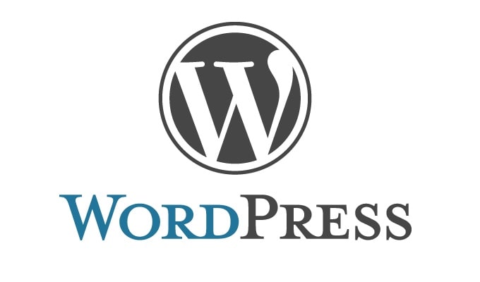 copy and paste inside the wordpress websites