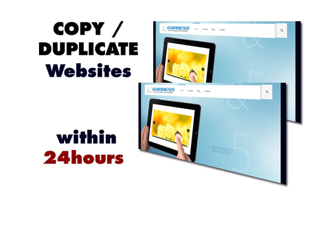 duplicate or Copy Websites within 24 hours